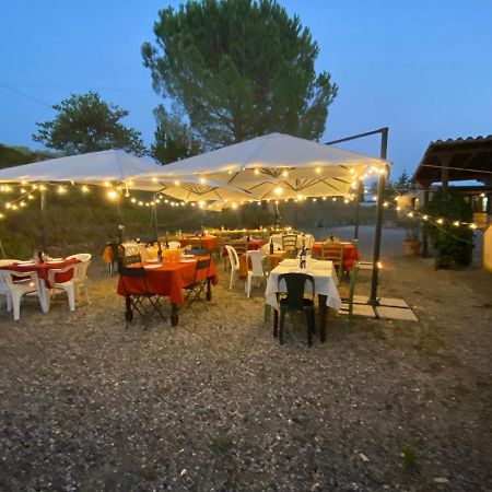 Podere Ripabianca Riparbella Exteriér fotografie