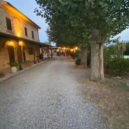 Podere Ripabianca Riparbella Exteriér fotografie
