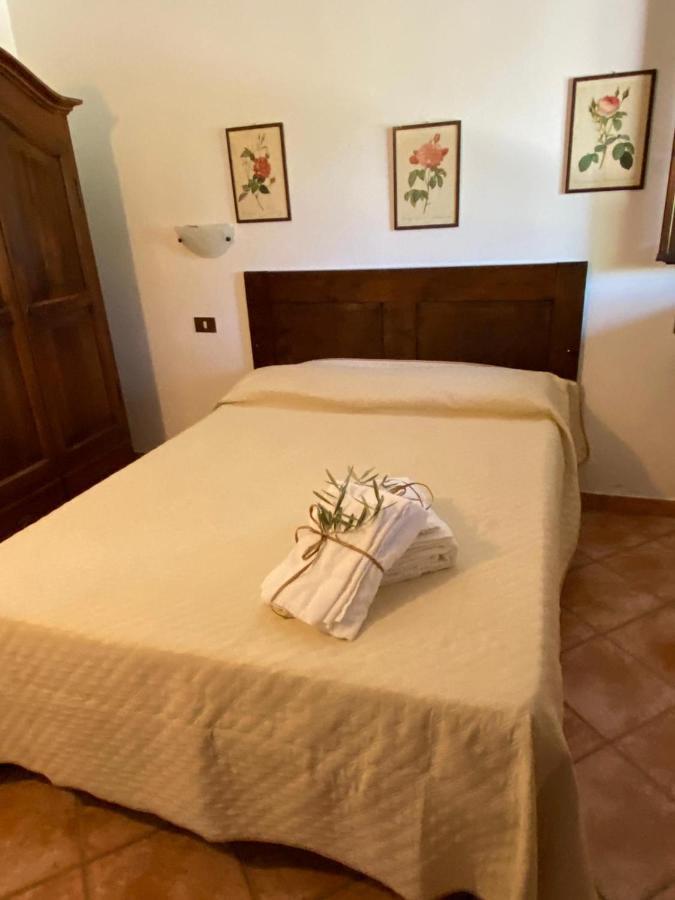 Podere Ripabianca Riparbella Exteriér fotografie