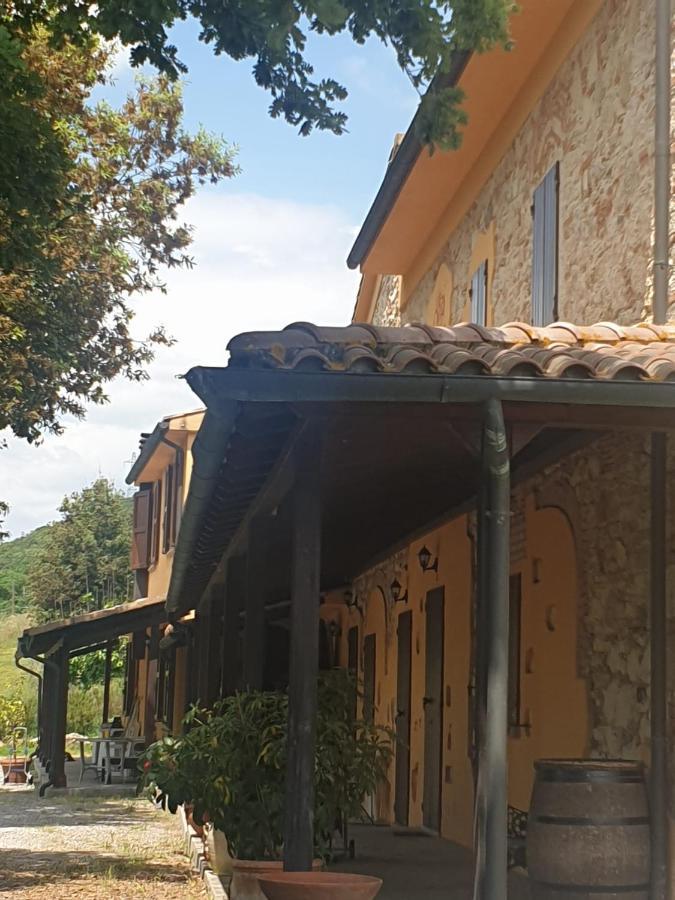 Podere Ripabianca Riparbella Exteriér fotografie