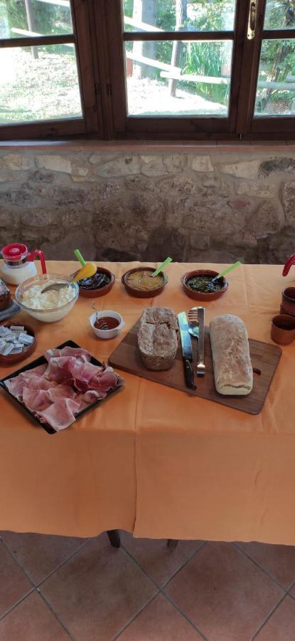 Podere Ripabianca Riparbella Exteriér fotografie